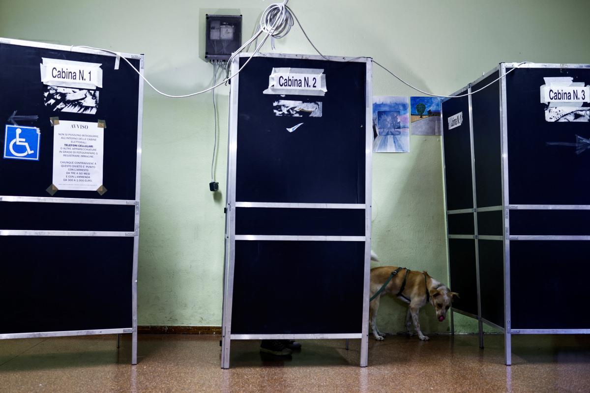 Un perro junto a las cabinas de votación en un colegio electoral, en Roma.
