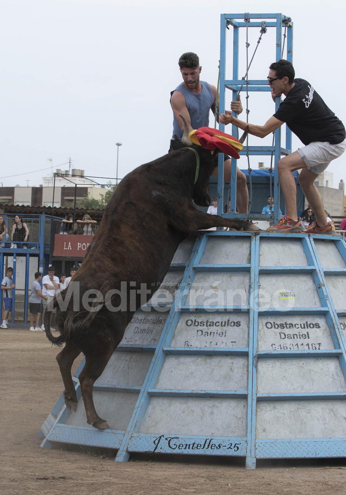 Bous a Les Alqueries 2025
