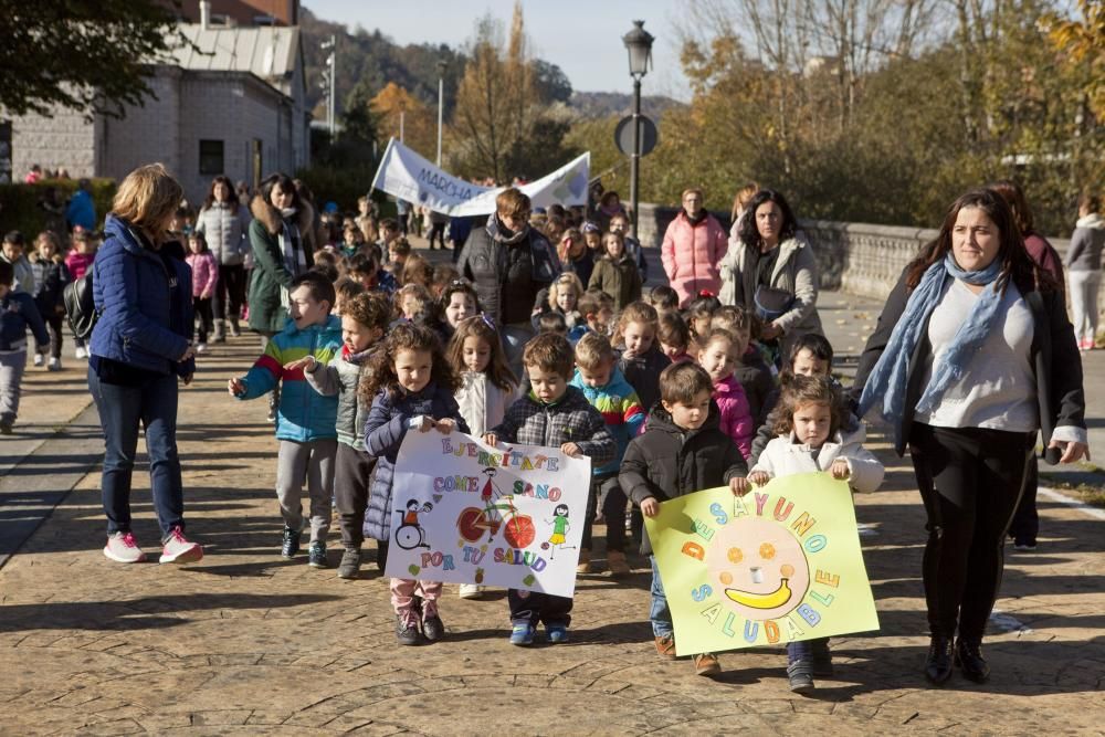 Marcha por la salud en El Entrego