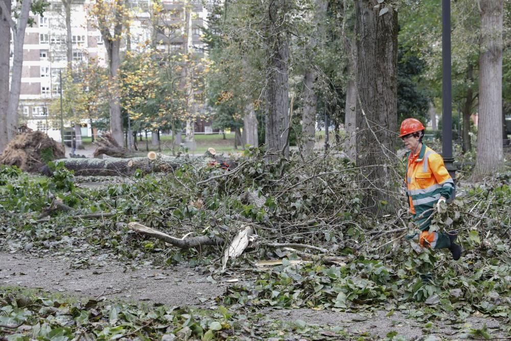 Las consecuencias de la tormenta en Gijón.