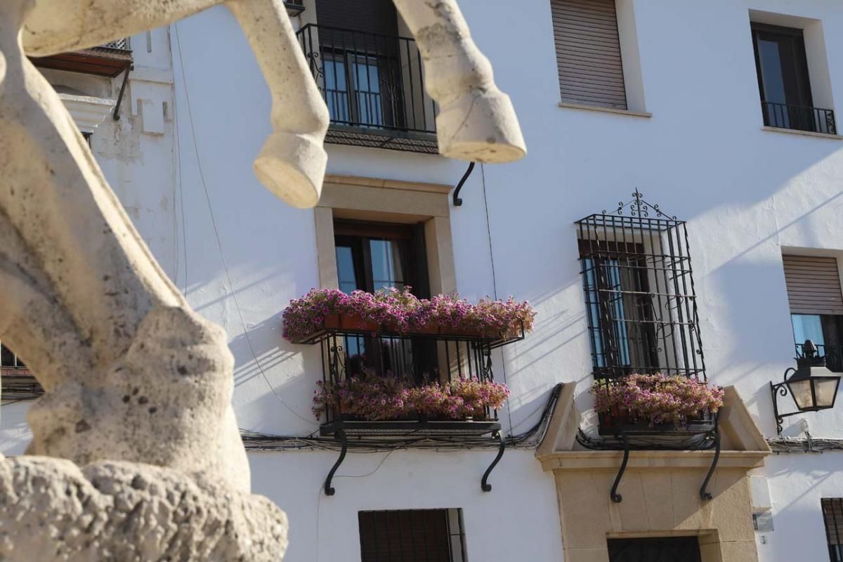 Rejas y balcones en junio