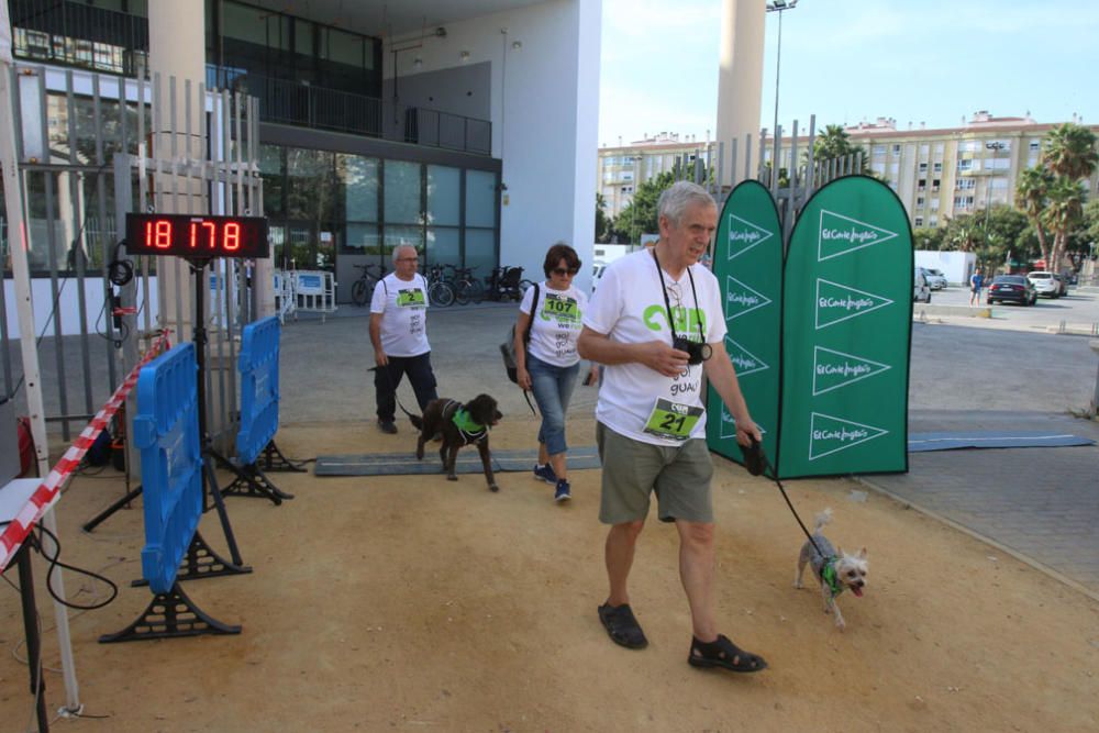 El Parque Huelin ha acogido la primera edición de un evento destinado a las mascotas y a sus dueños, con carreras en diversas categorías, actividades gratuitas y numerosos stands