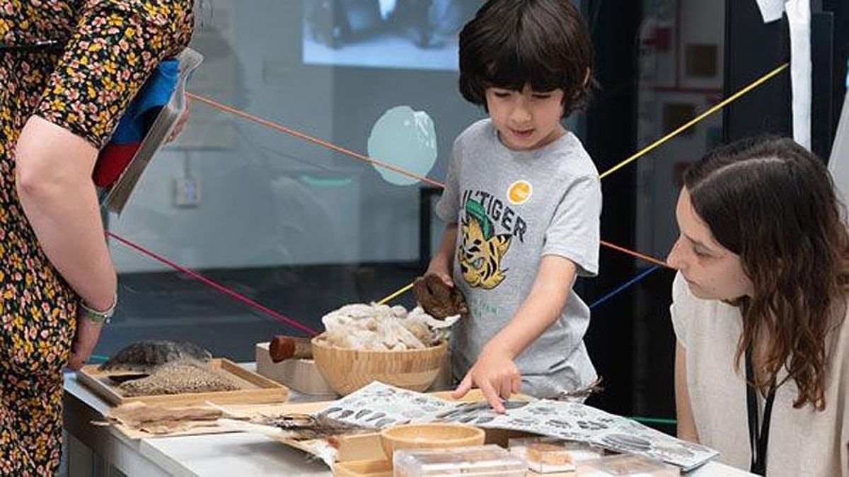 Experiments, curts a la fresca i més activitats de franc a Barcelona Experiments, curts a la fresca i més activitats de franc a Barcelona