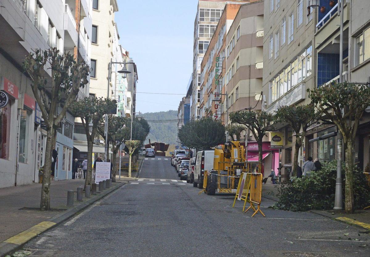 Ejemplares de árboles podados se alternan con otros aún sin podar en la avenida de Marín. | G. NÚÑEZ