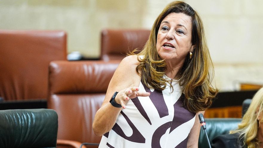 La Junta defiende "la inclusión plena" del alumnado con autismo, pese a las denuncias de las familias