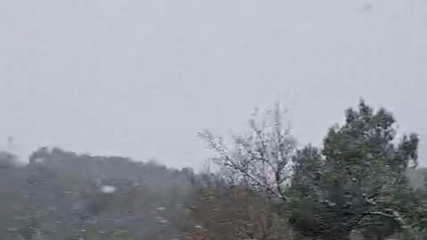 Nieve en La Llacuna (Anoia, Barcelona).