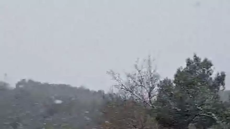 Nieve en La Llacuna (Anoia, Barcelona).