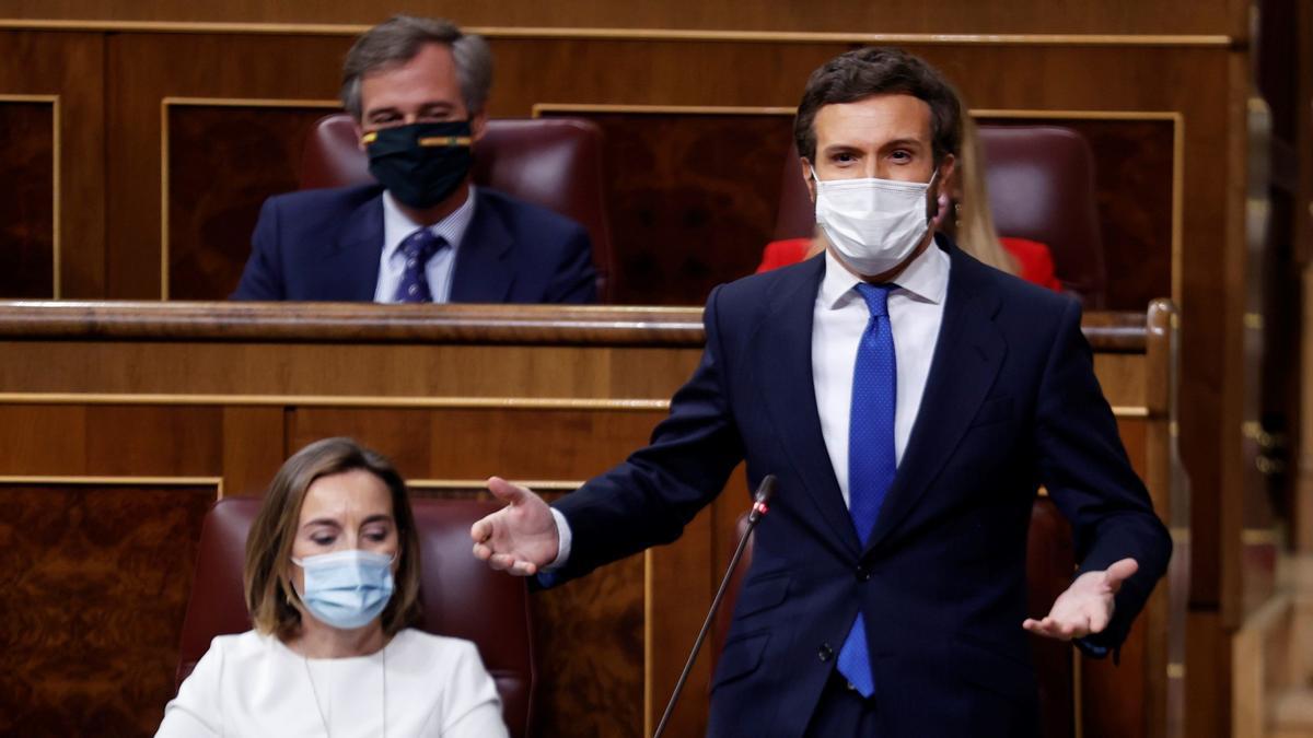 El líder del PP, Pablo Casado, interviene en el Congreso