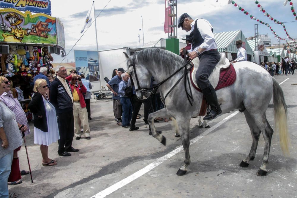 Feria de Sevillanas 2016 en Torrevieja