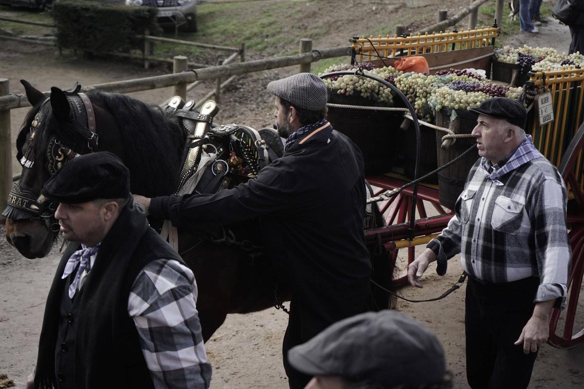 Festa dels Traginers de Balsareny