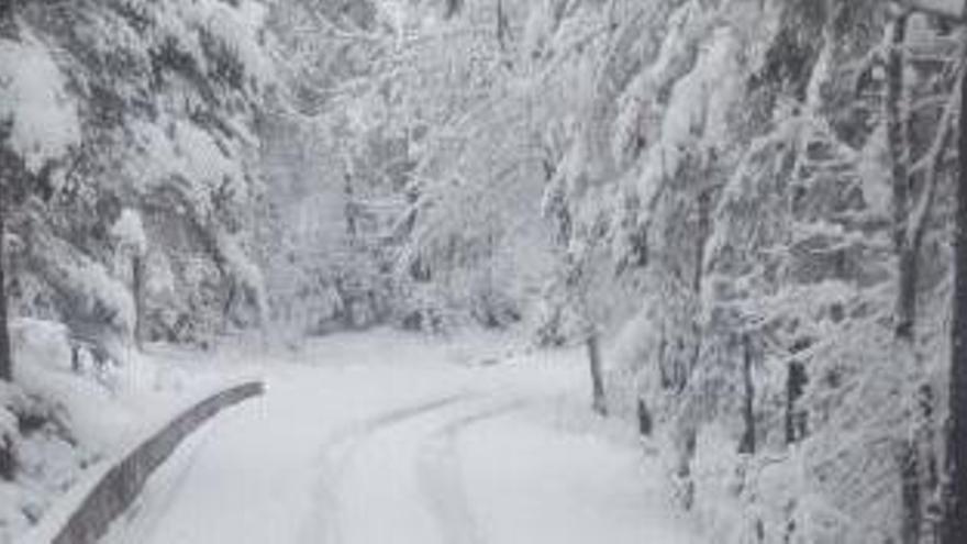 S&#039;esperen nevades entre les 12 del migdia i les 12 de la nit.