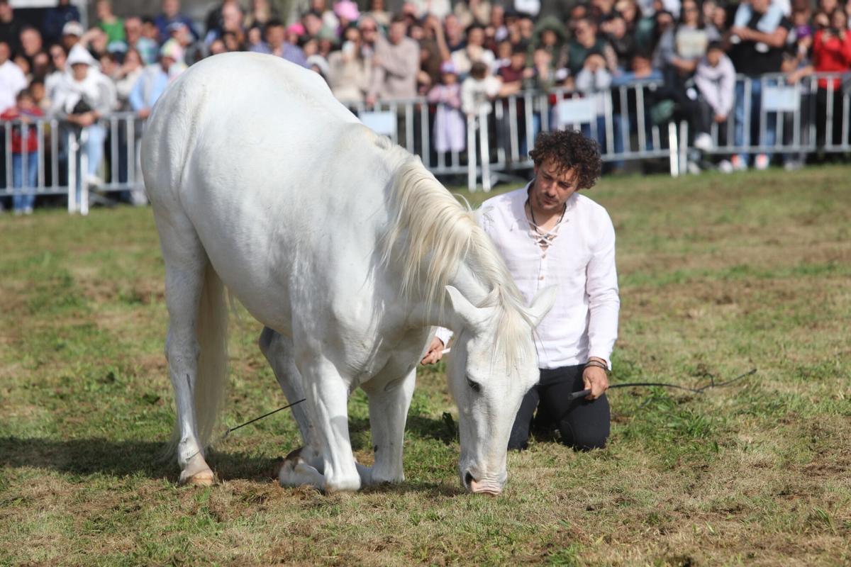 La XXXV Feira do Cabalo de Lalín cerró ayer su segunda y última jornada con una notable afluencia de público