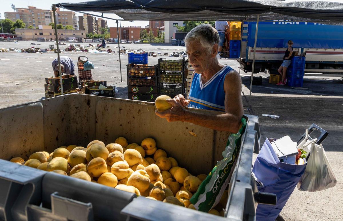 _MGL6866.jpg _MGL6866.jpg