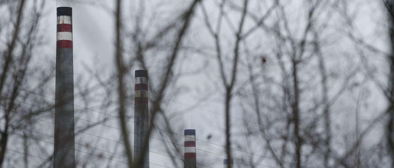 Chimeneas fabriles vistas a través del arbolado del parque del Muelle. | Mara Villamuza