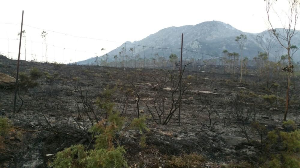 Incendios en Galicia | El fuego de Porto do Son arrasa el monte de A Curota