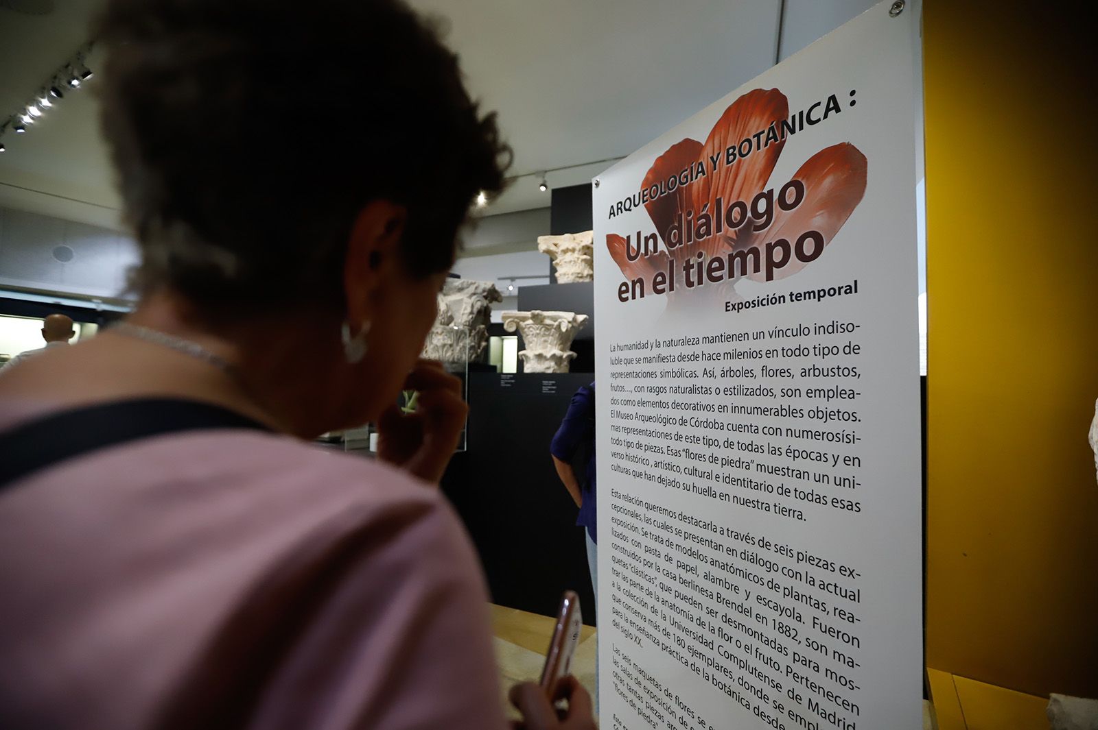 Flora expone el vínculo ancestral entre botánica y arqueología