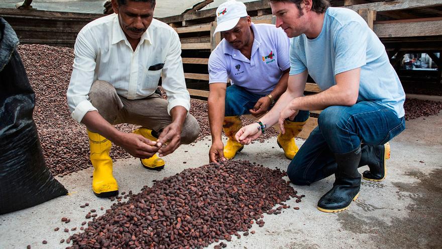 Paccari, el cacao ecuatoriano que ha seducido al Museo del Prado
