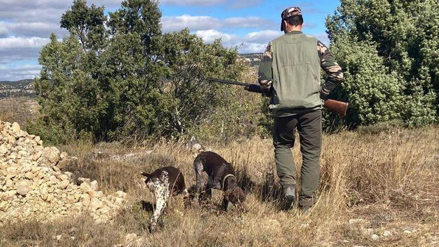 La caza arranca una prometedora temporada en Castellón marcada por el covid