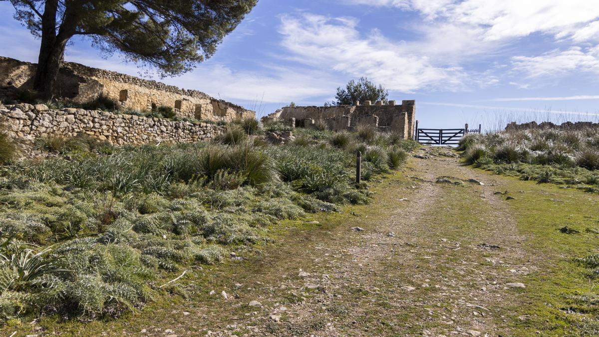 Vista de parte de las construcciones del campo de Son Morey.