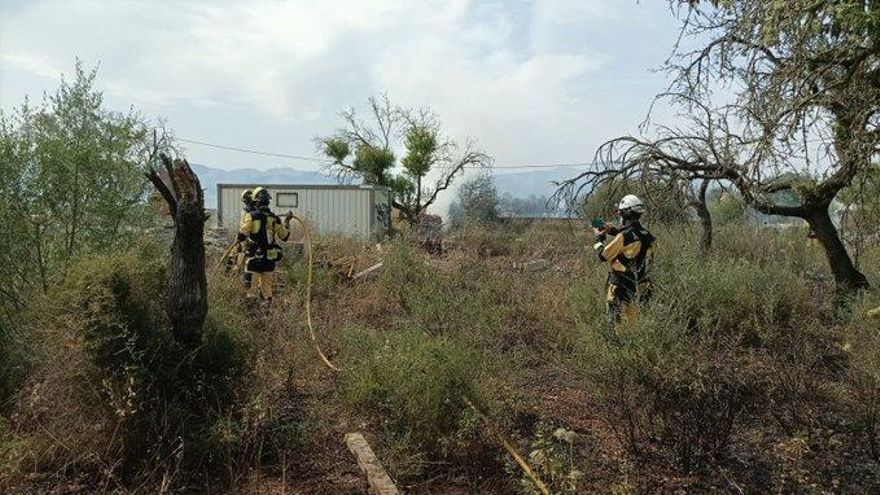 Un incendio arrasa 12.000 metros cuadrados en una finca agrícola en el término de Inca
