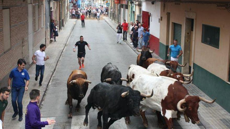 Almassora arranca la semana taurina con el encierro