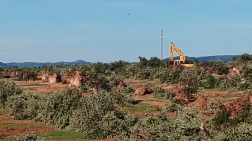 Una retroexcavadora trabaja en la zona de Lopera dónde se quiere instalar la planta solar