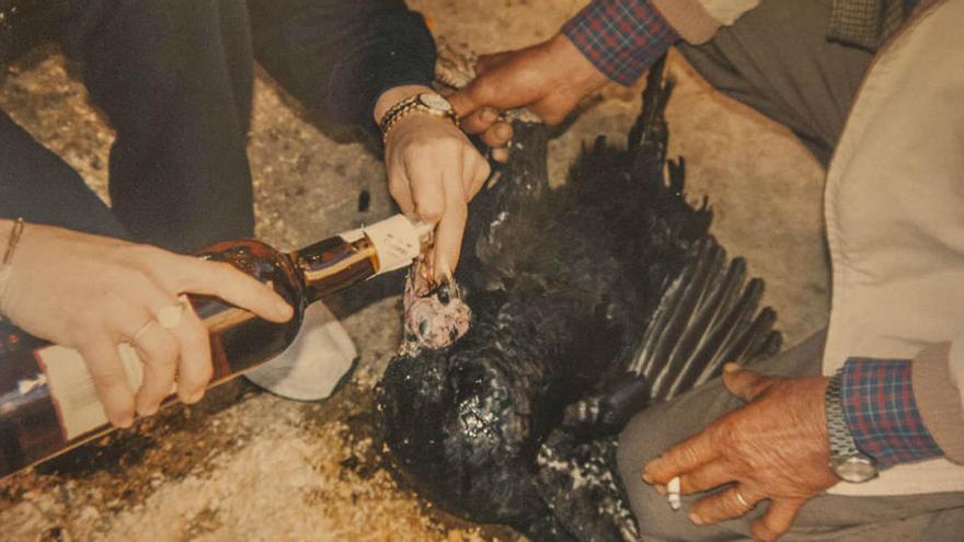 Imagen de archivo que muestra cómo se preparaba la pava antes de ser cocinada.