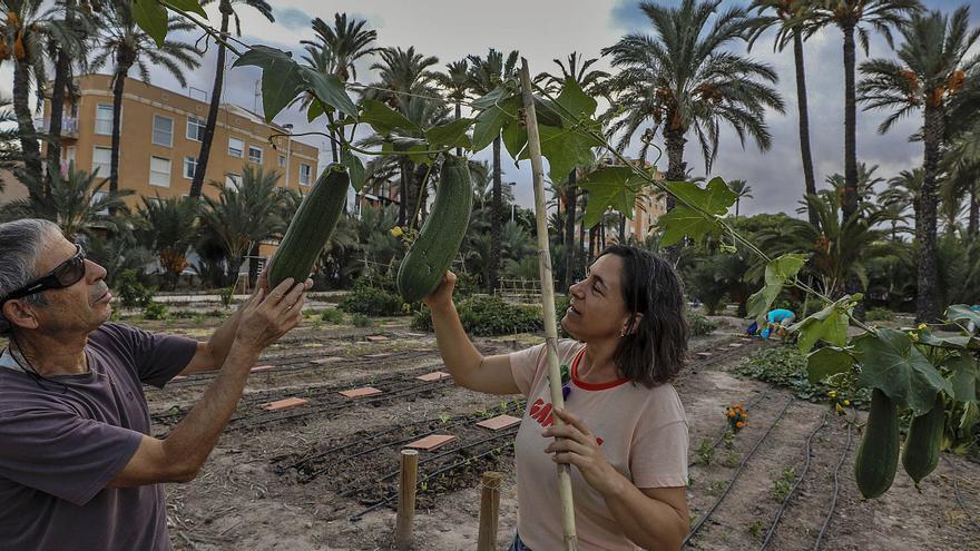 Un paraíso entre palmeras