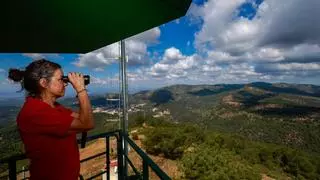 Guardianes del fuego: Así se blindan los montes valencianos