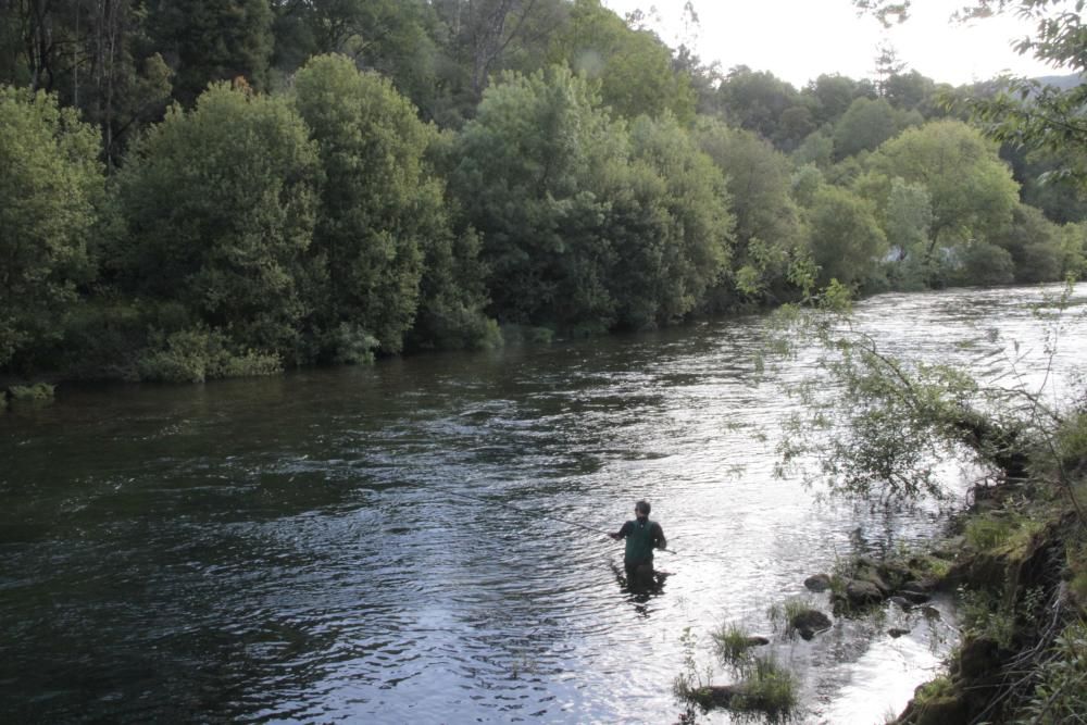 El salmón no pica en el Lérez