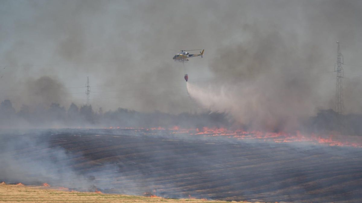 Un incendio en Sancha Brava (Badajoz) obliga a activar el nivel 1