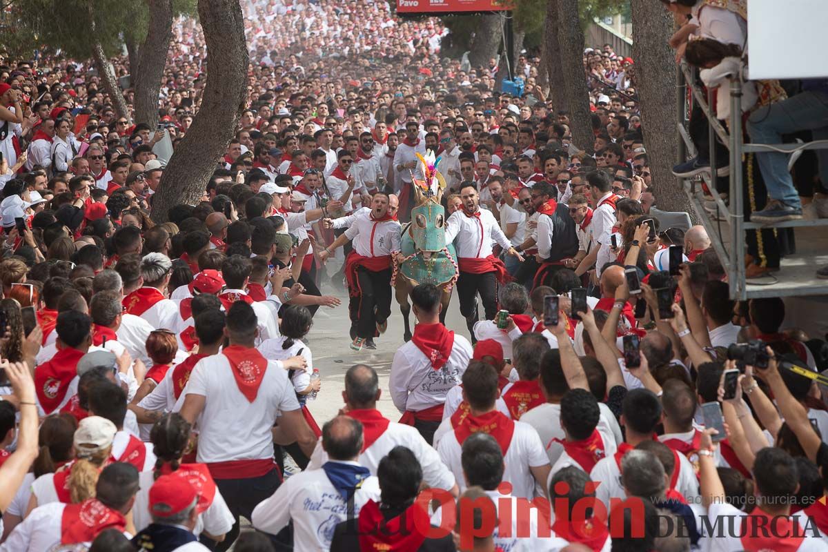 Así ha sido la carrera de los Caballos del Vino en Caravaca