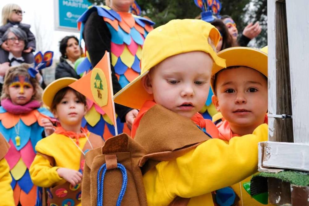 Sant Josep vive un Carnaval ecológico