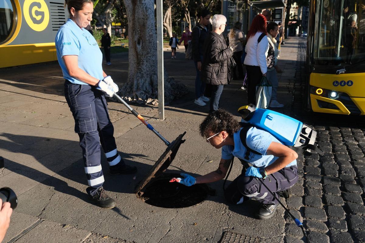 Dos trabajadoras desratizan una alcantarilla en el Parque Santa Catalina.