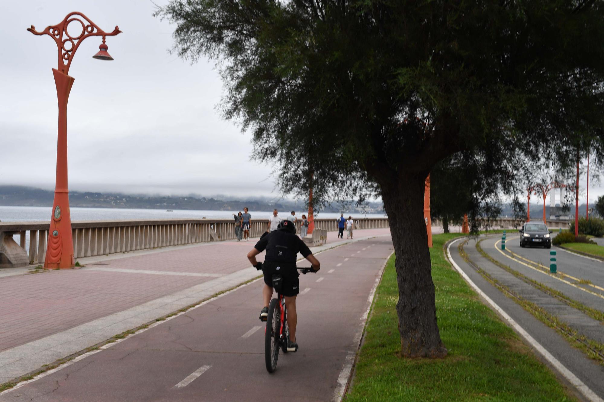 Al carril bici de A Coruña le crecen ramas