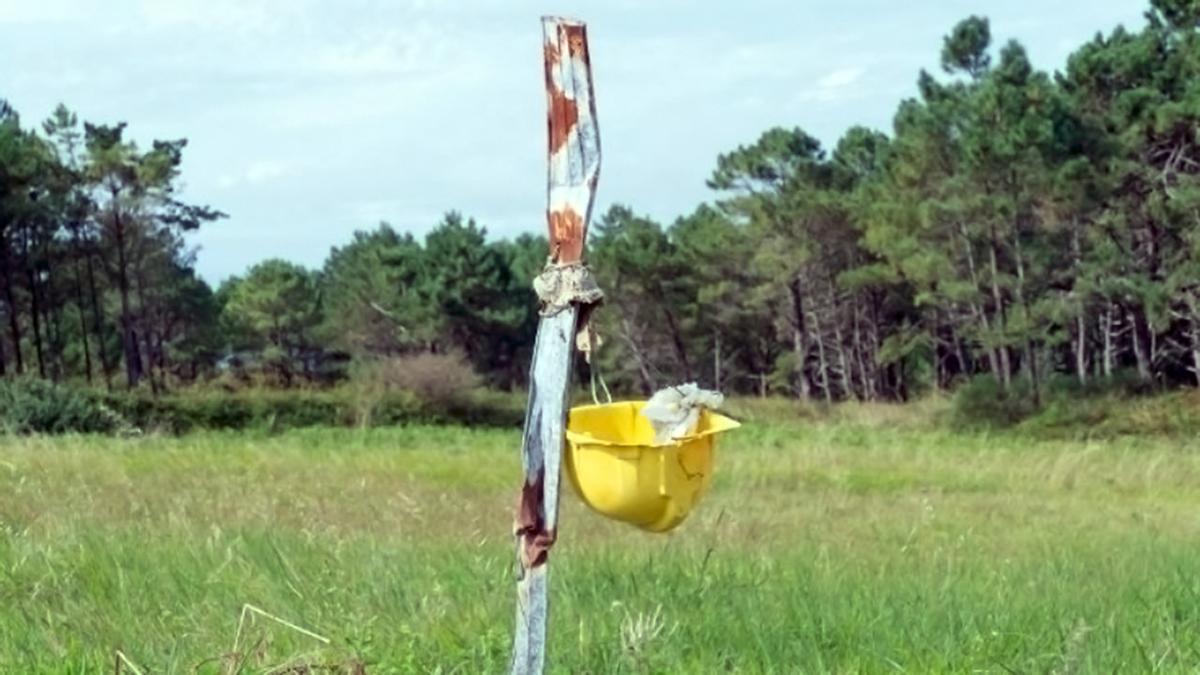 Una imagen de la muestra.