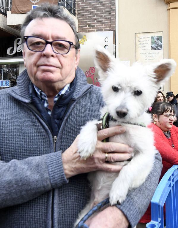 Así ha sido la bendición de animales por San Antón en Murcia