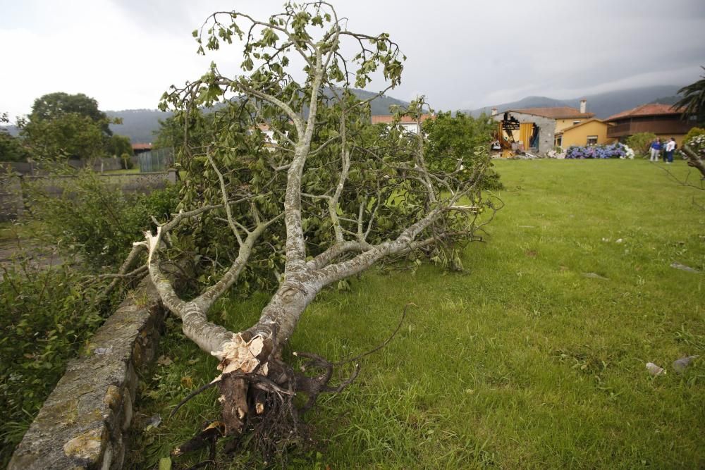 Los resultados del tornado en Ballota