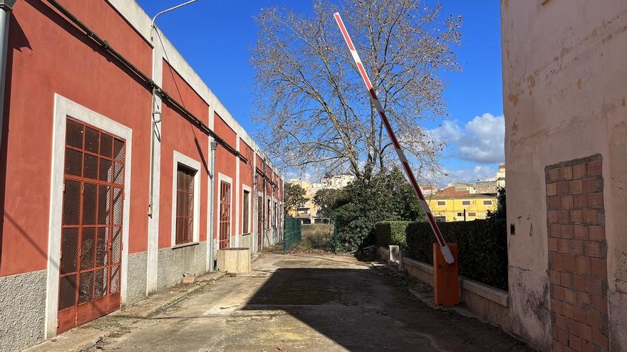 Manacor transformará el antiguo solar de Majorica en un gran parque