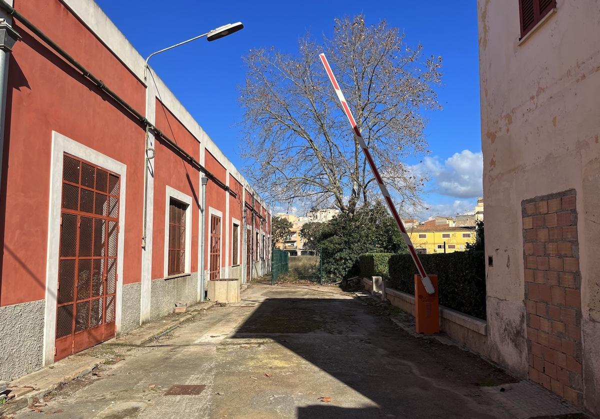 Manacor transformará el antiguo solar de Majorica en un gran parque