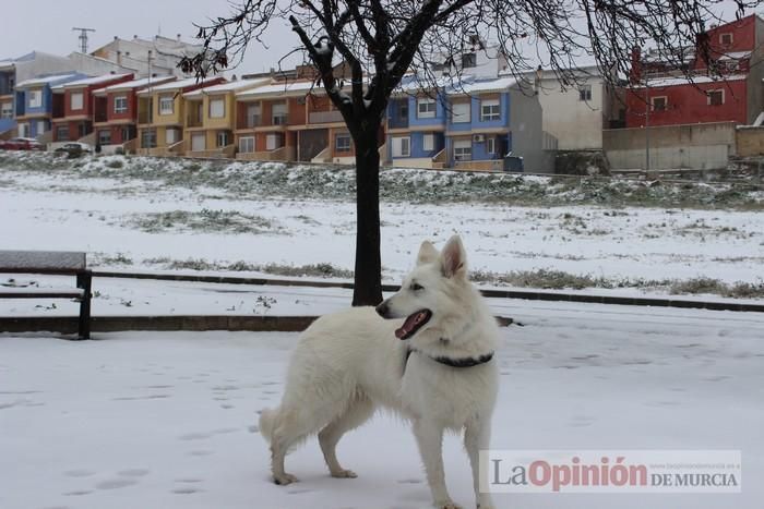 Un manto blanco cubre Bullas