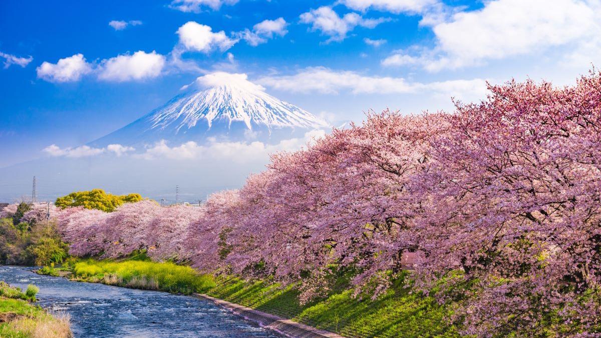 El mont Fuji és una de les imatges més icòniques del Japó