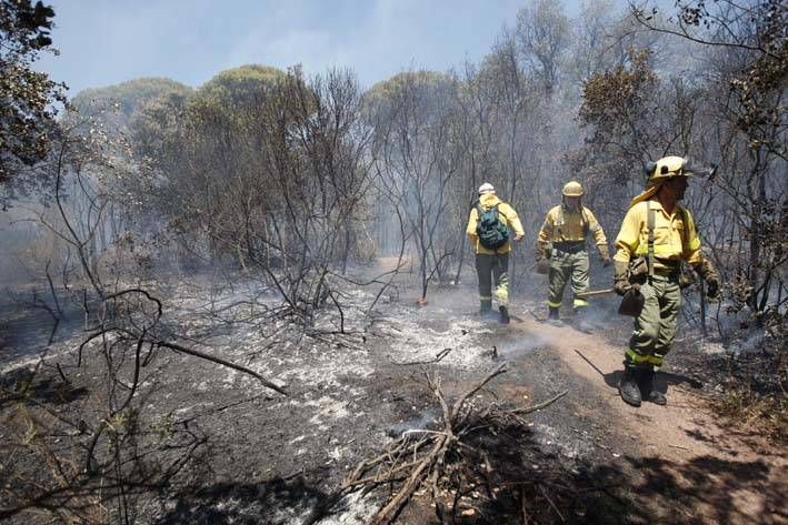 Las imágenes del incendio en el entorno del hospital de Los Morales.