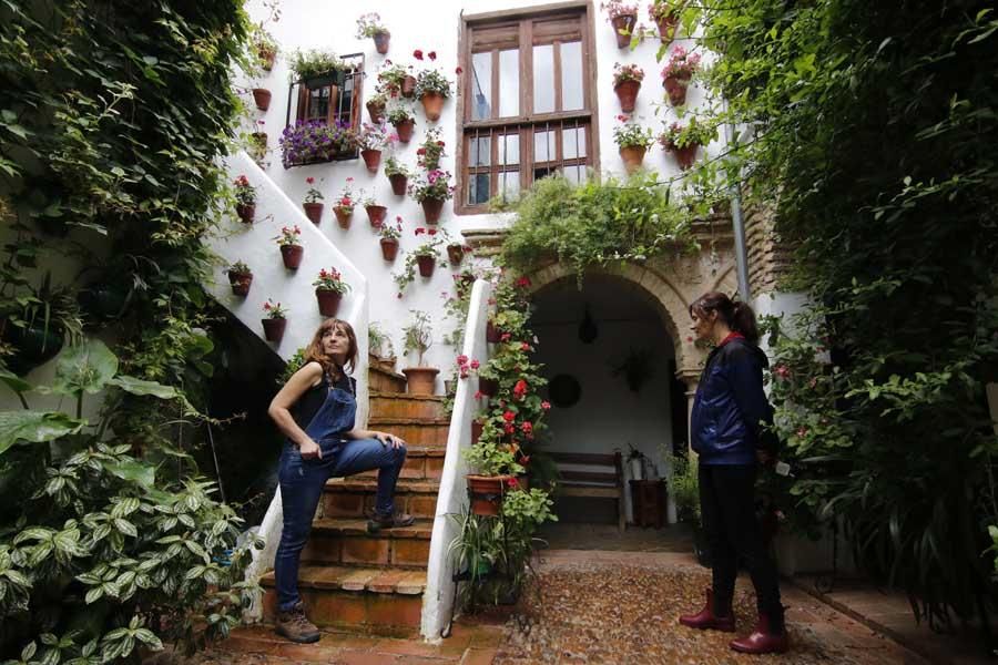 Los Patios de Córdoba: Centro / Judería