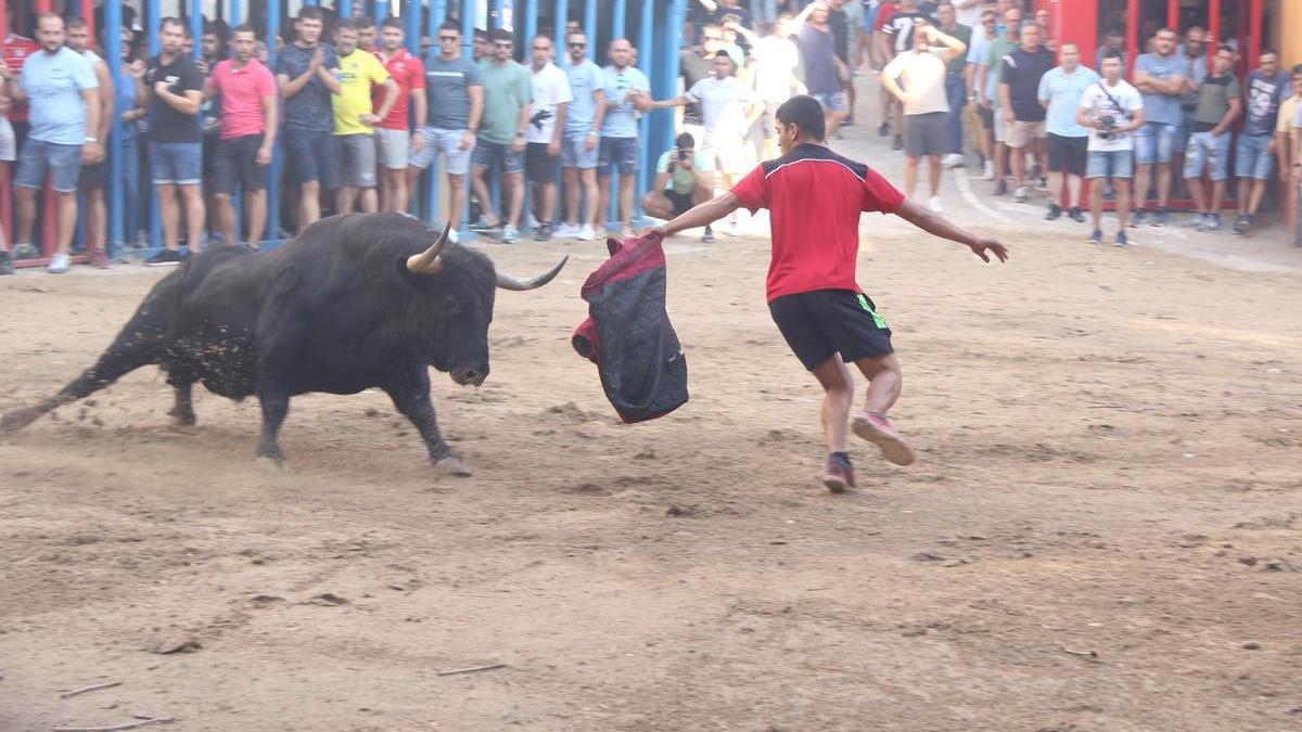 ‘Denegado’ ha sido el toro vencedor de los Premios Trapío de l’Alcora.