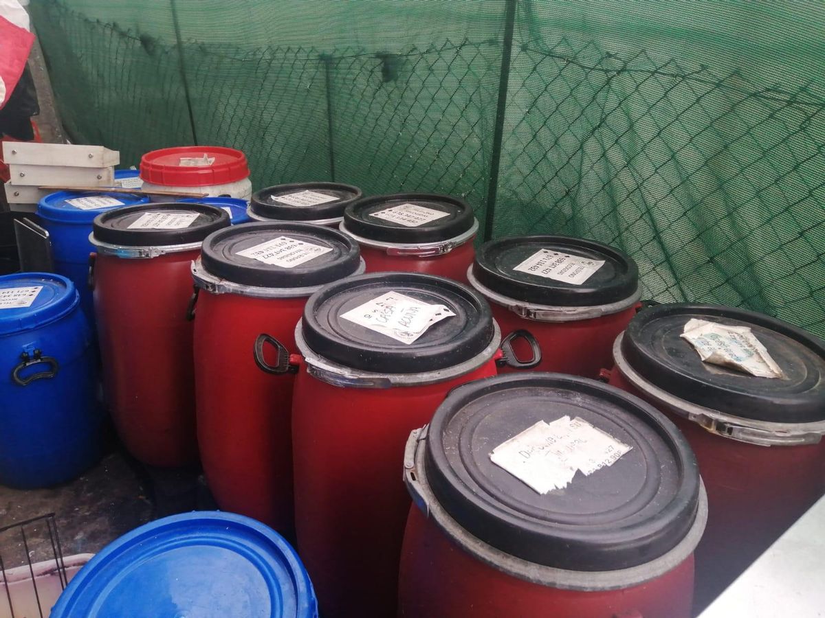 Los bidones de un local de hostelería de Ons que se llenan con aceites y grasas de las comidas, que luego recoge un gestor.