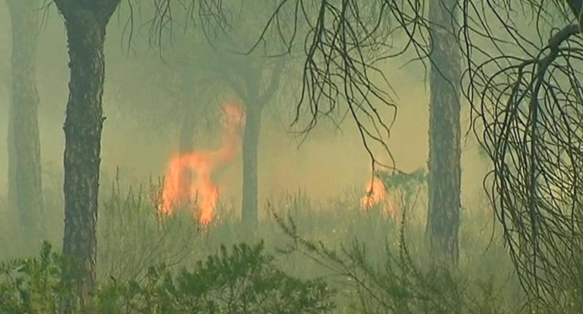 Incendio en Huelva
