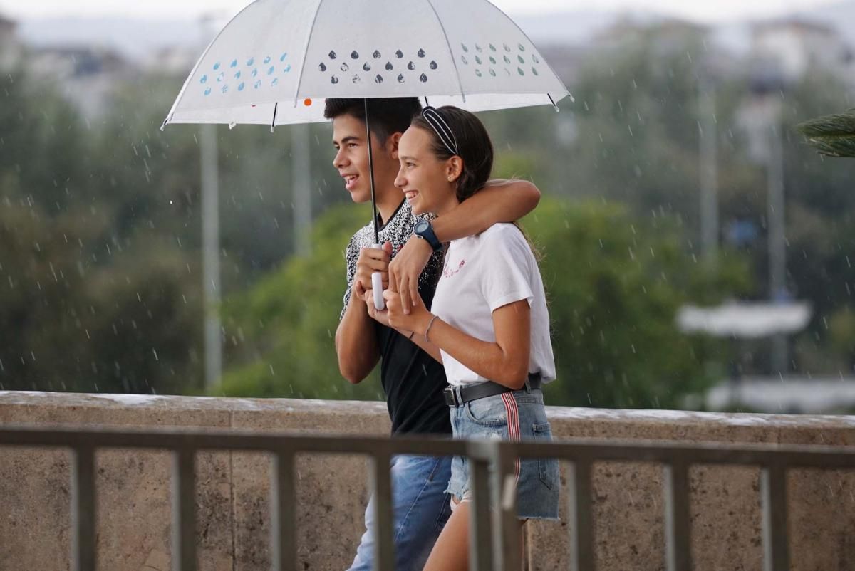 Llegan las primeras lluvias a Córdoba tras 123 días sin llover.