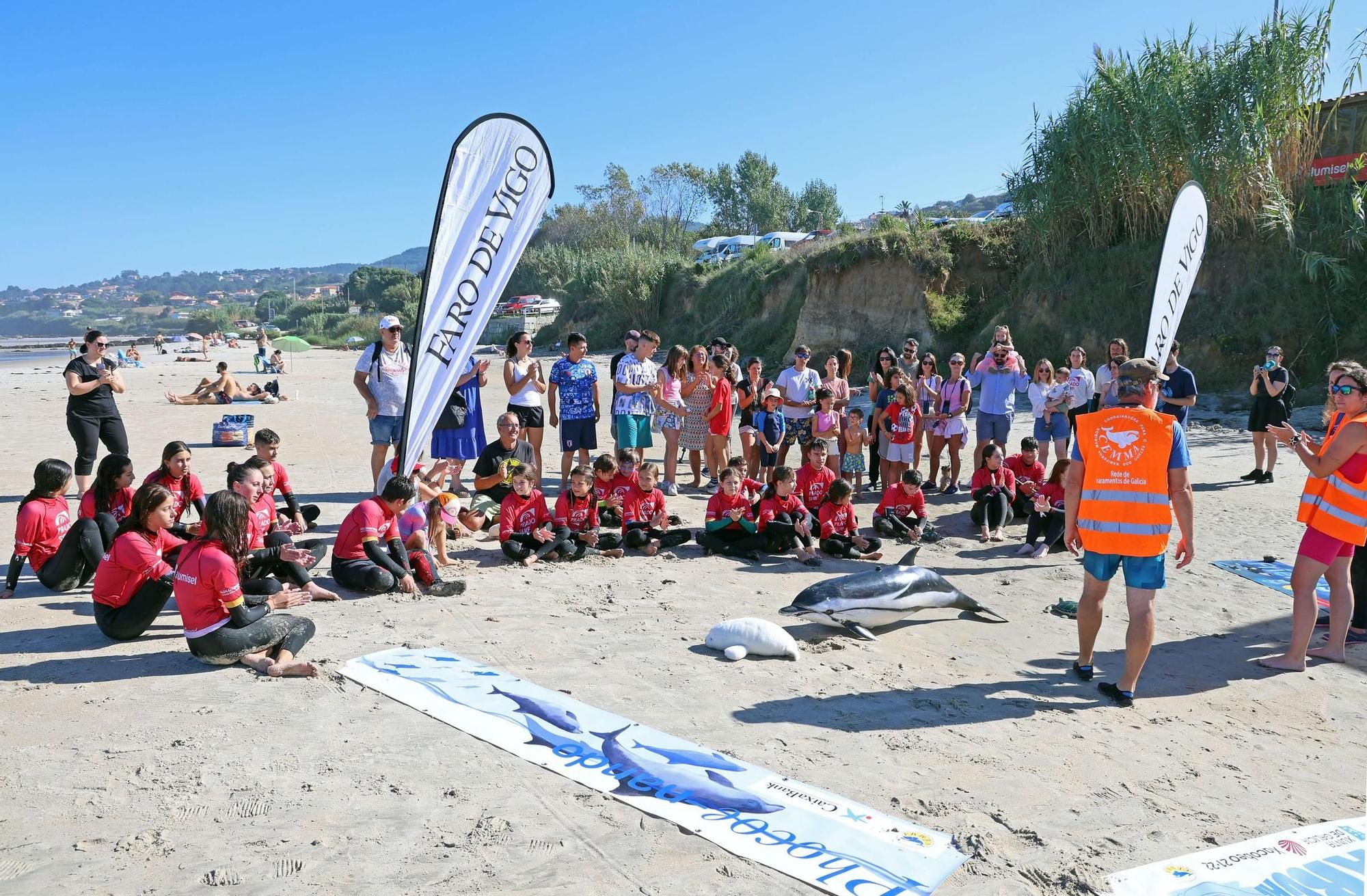 Una segunda vida  para los animales varados desde la playa de Nigrán