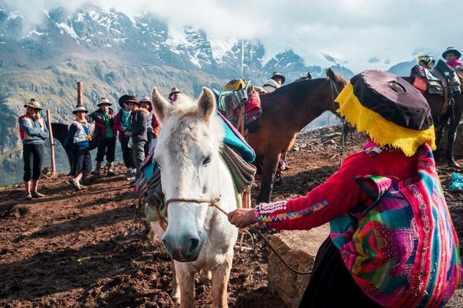 Vininunca servicio mulas